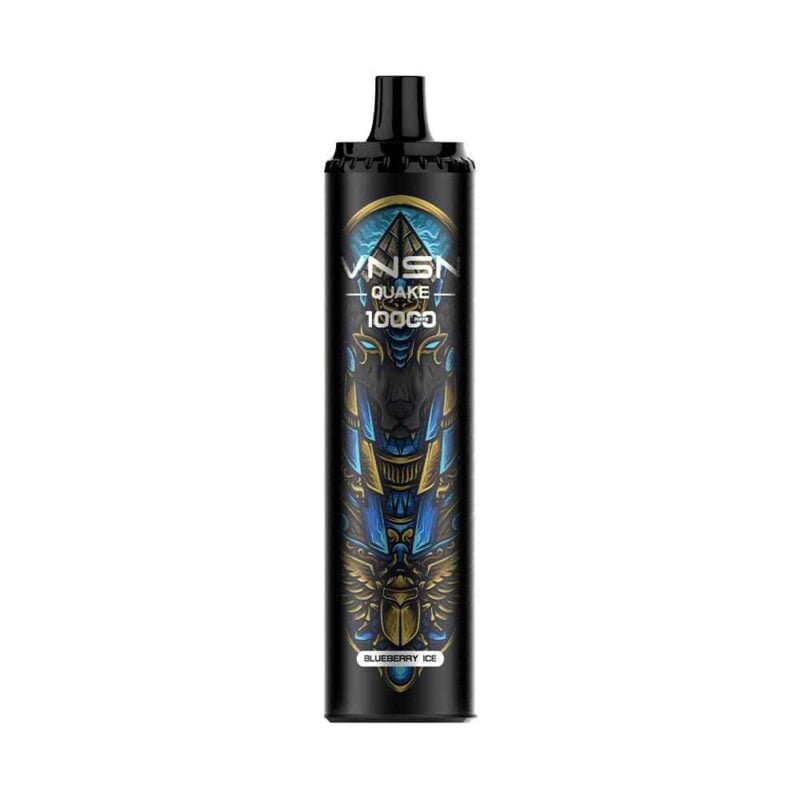Blueberry Ice VNSN QUAKE 10000 Puffs Disposable Vape