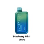 BLUEBERRY MINT ELF BAR 10000 Puffs