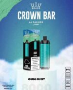 GUM MINT crown bar 8000 puffs