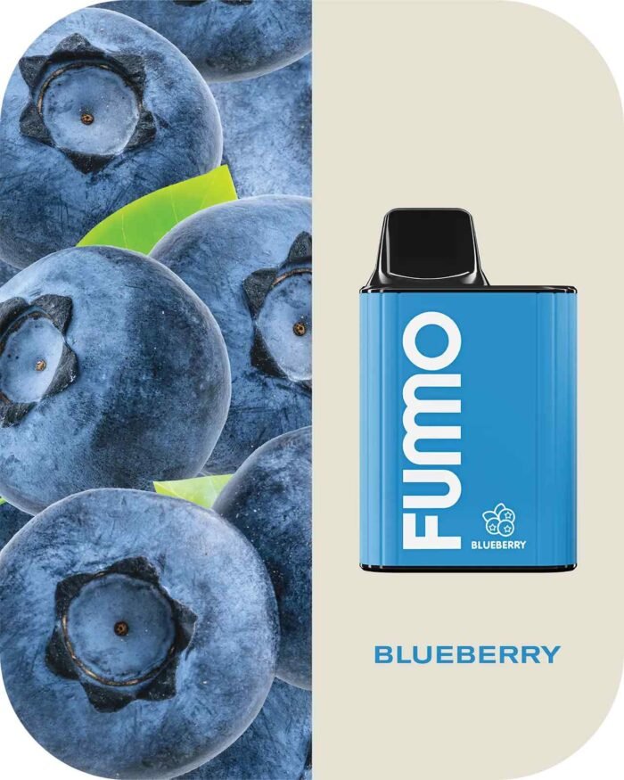FUMMO King 6000 Puffs blueberry