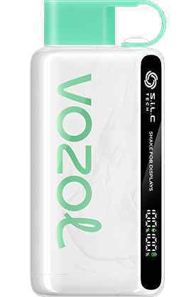 VOZOL Star LEMON MINT VOZOL STAR 12000 Puffs