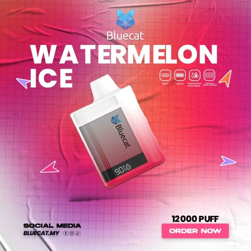 BLUECAT 12000 Puffs Price in Dubai WATERMELON ICE
