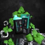 BLVK Bar 20000 Puffs Vape Price in Dubai DOUBLE_SPEARMINT_BLVK_BAR