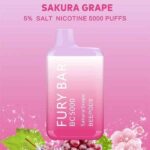 FURY Bar 5000 Puffs Disposable Vape