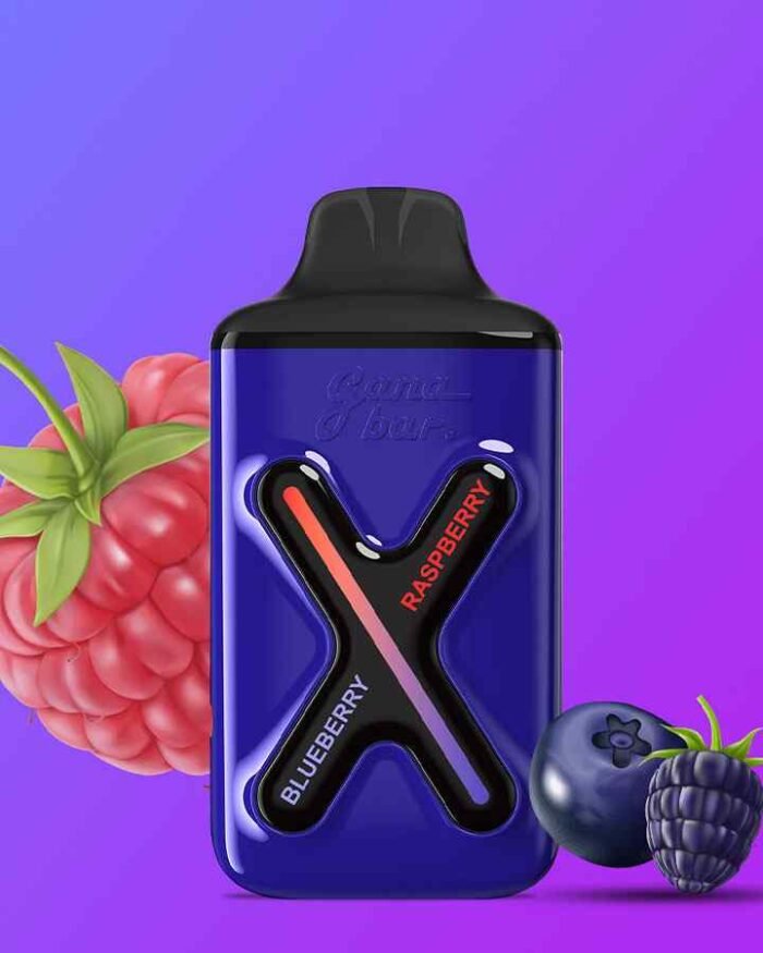 GANA BAR G8000 8000 Puffs price in Dubai BLUEBERRY RASPBERRY