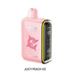 LAVIE PLUS 15000 Price in Dubai JUICY PEACH ICE