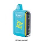 LAVIE PLUS 15000 Price in Dubai MEXICO MANGO