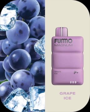 FUMMO Magnum 8000 Puffs 2% Nicotine Disposable Vape