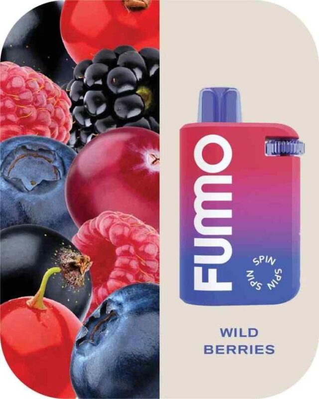 FUMMO Spin Disposable 10000 Puffs 20MG Rechargeable Vape