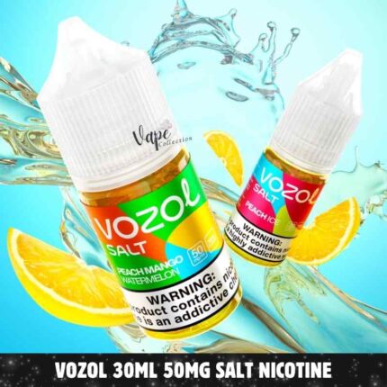 VOZOL Salt Nicotine Price in Dubai