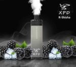 XPD BAR R SHISHA 10000 Puffs Price in Dubai BLACKBERRY ICE