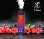 XPD BAR R SHISHA 10000 Puffs Price in Dubai BLUEBERRY RASPBERRY