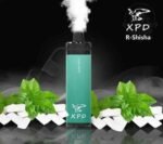 XPD BAR R SHISHA 10000 Puffs Price in Dubai GUM MINT