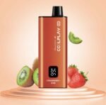 COOLPLAY Smart 6000 Puffs Price in Dubai STRAWBERRY KIWI