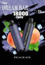 DBR Dream Bar 18000 Puffs Price in Dubai PASSION FRUIT