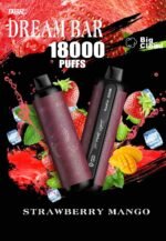 DBR Dream Bar 18000 Puffs Price in Dubai RED MOJITO