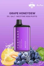 FURY Bar 5000 Puffs Disposable Vape