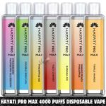 HAYATI Pro Max 4000 Puffs Price in Dubai