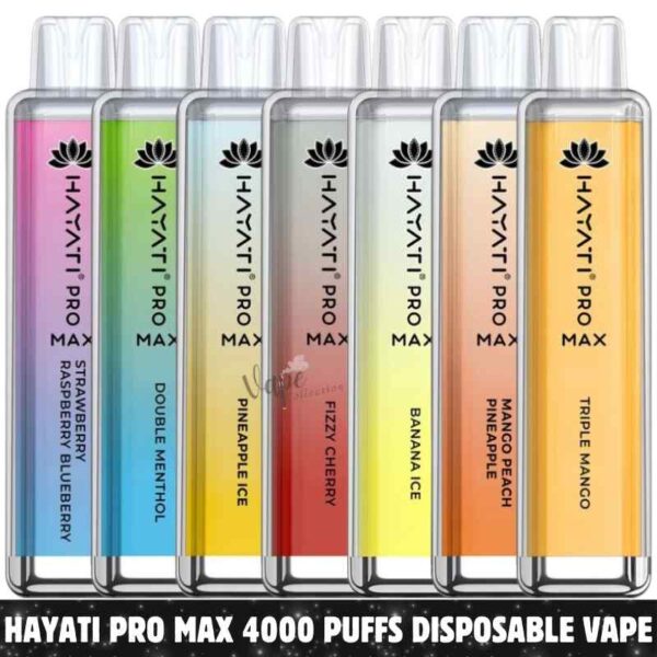HAYATI Pro Max 4000 Puffs Price in Dubai