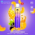 HAYATI Pro Max 4000 Puffs Price in Dubai BLACKCURRANT MANGO