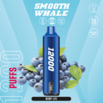 SMOOTH 12000 Puffs 5% Disposable Vape Berry Lite