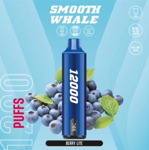SMOOTH 12000 Puffs 5% Disposable Vape Berry Lite