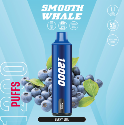 SMOOTH 12000 Puffs 5% Disposable Vape Berry Lite