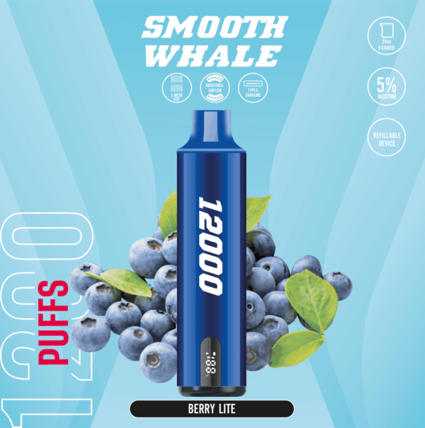 SMOOTH 12000 Puffs 5% Disposable Vape Berry Lite