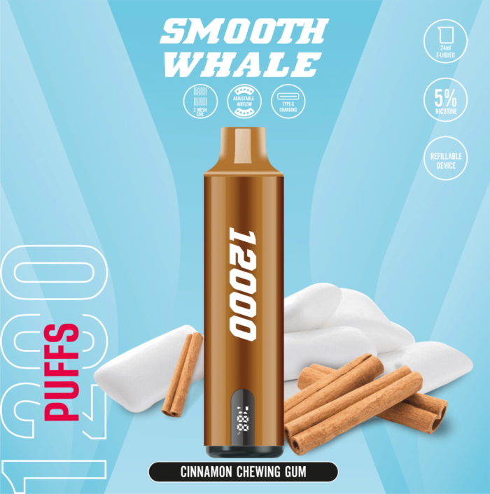 SMOOTH 12000 Puffs 5% Disposable Vape Cinnamon Chewing Gum