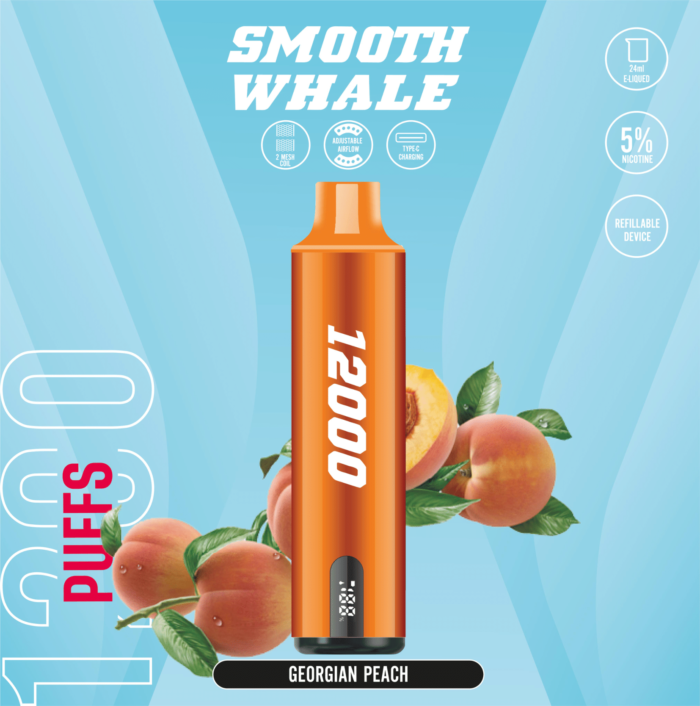 SMOOTH 12000 Puffs 5% Disposable Vape Georgian Peach