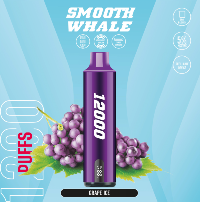 SMOOTH 12000 Puffs 5% Disposable Vape Grape Ice
