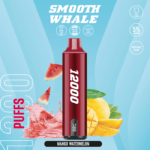 SMOOTH 12000 Puffs 5% Disposable Vape Mango Watermelon