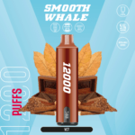 SMOOTH 12000 Puffs 5% Disposable Vape Vct