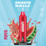 SMOOTH 12000 Puffs 5% Disposable Vape Watermelon Ice