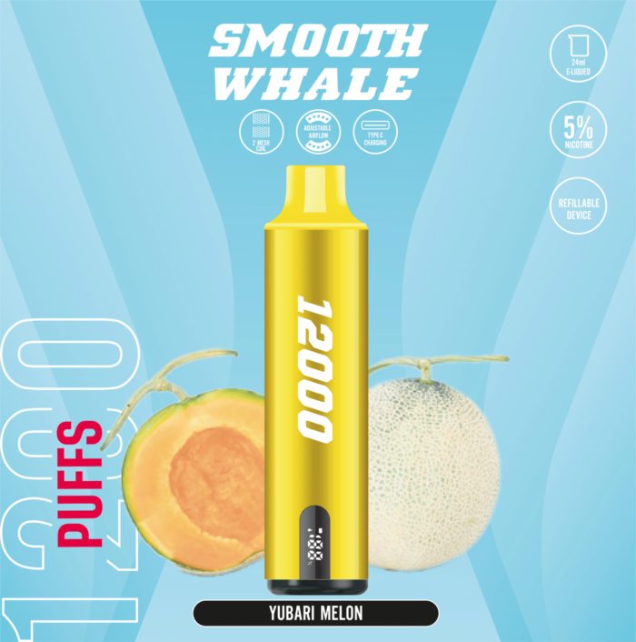 SMOOTH 12000 Puffs 5% Disposable Vape Yubari Melon
