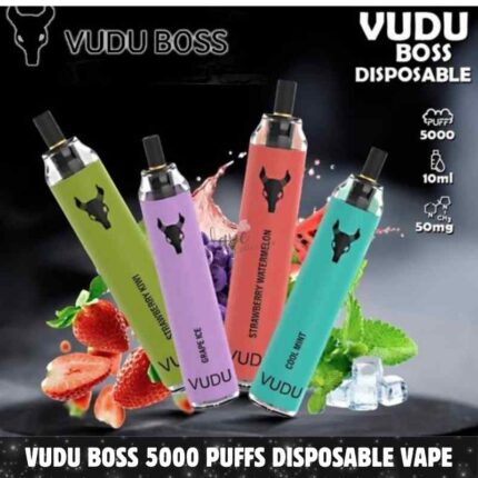 Best VUDU Boss 5000 Puffs 50Mg Disposable Vape