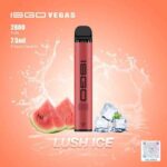 ISGO Vegas 2800 Puffs Disposable Vape