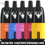 KALYAN PRO 12000 Puffs Price in Dubai