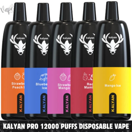 KALYAN PRO 12000 Puffs Price in Dubai