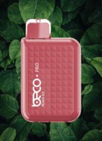 BECO Pro 6000 Puffs Disposable Vape Peach Ice