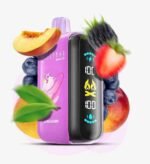 ELFBAR Raya D3 25000 Puffs Disposable Vape Price in Dubai Peach Berry
