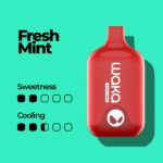 WAKA-SMASH-6000-Puffs-Price-in-Dubai-FRESH-MINT