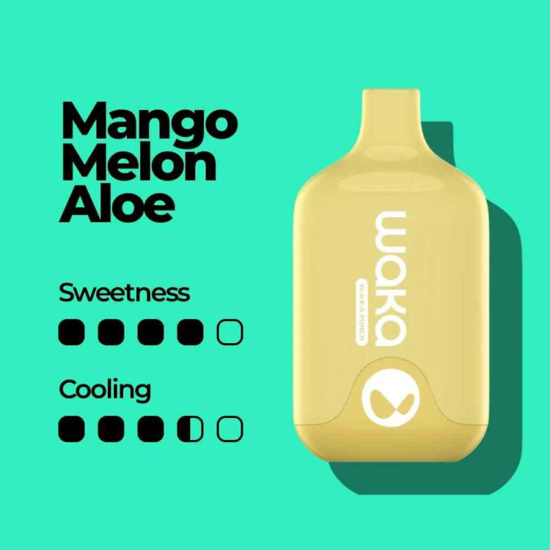 WAKA-SMASH-6000-Puffs-Price-in-Dubai-MANGO-MELON-ALOE
