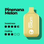 WAKA-SMASH-6000-Puffs-Price-in-Dubai-PIENANA-MELON