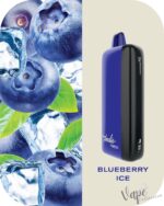 FUMMO Indic 12000 Puffs 20MG Disposable Vape Price in Dubai Blueberry Ice
