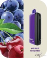 FUMMO Indic 12000 Puffs 20MG Disposable Vape Price in Dubai Grape Cherry