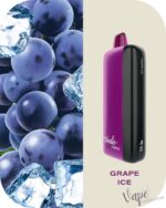 FUMMO Indic 12000 Puffs 20MG Disposable Vape Price in Dubai Grape Ice