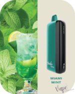 FUMMO Indic 12000 Puffs 20MG Disposable Vape Price in Dubai Miami Mint