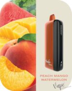 FUMMO Indic 12000 Puffs 20MG Disposable Vape Price in Dubai Peach Mango Watermelon