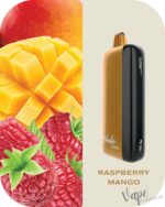 FUMMO Indic 12000 Puffs 20MG Disposable Vape Price in Dubai Raspberry Mango